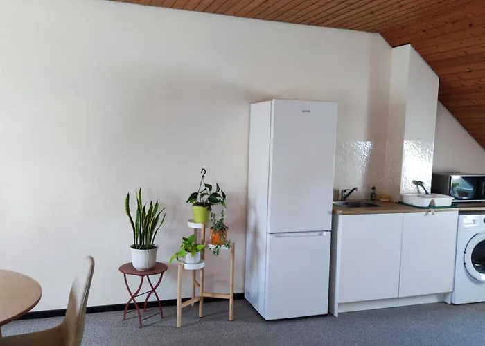 Big Cozy Entire Family Appartement Hanovre